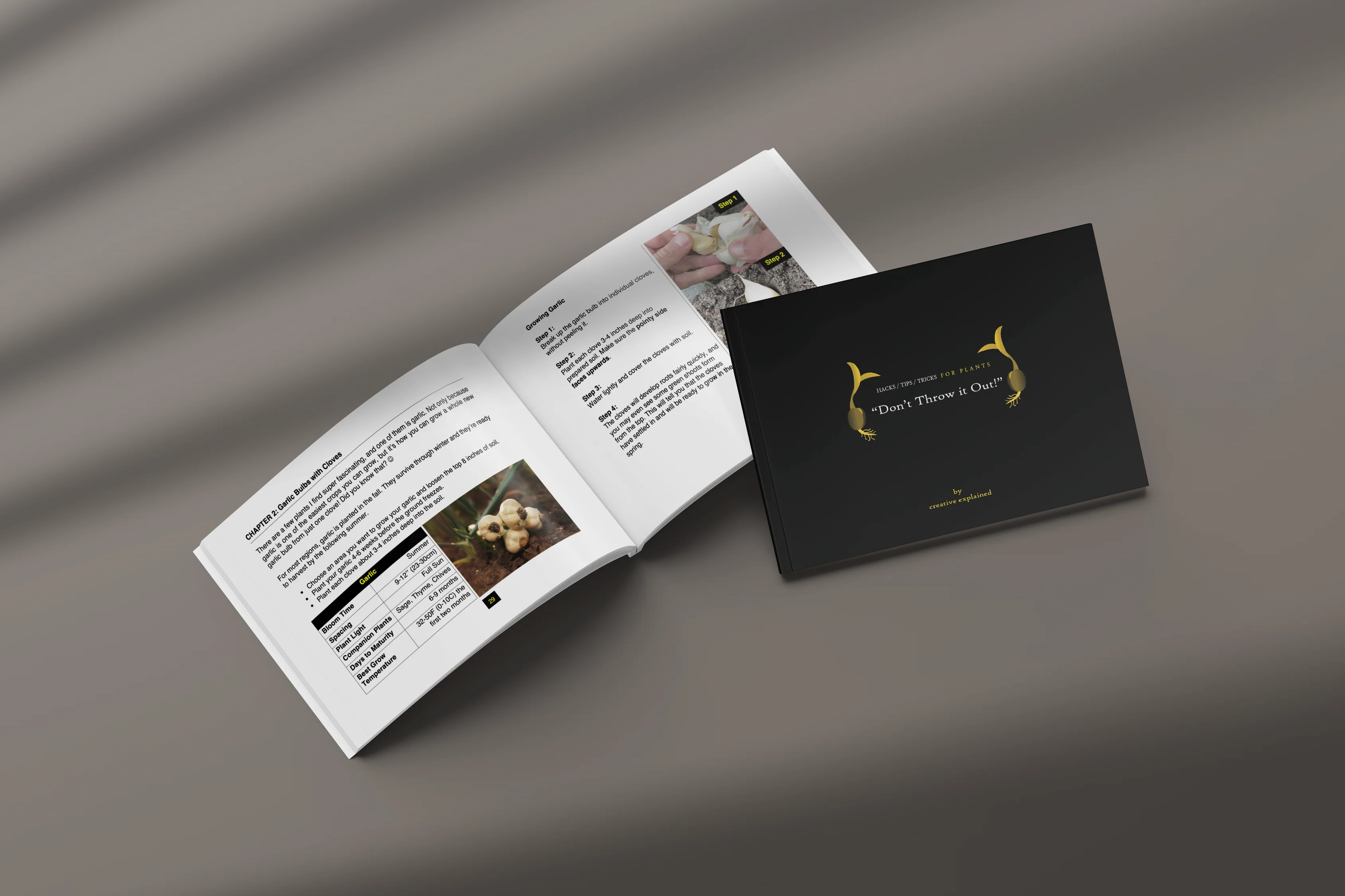Creative Explained Book Bundle - Image 3