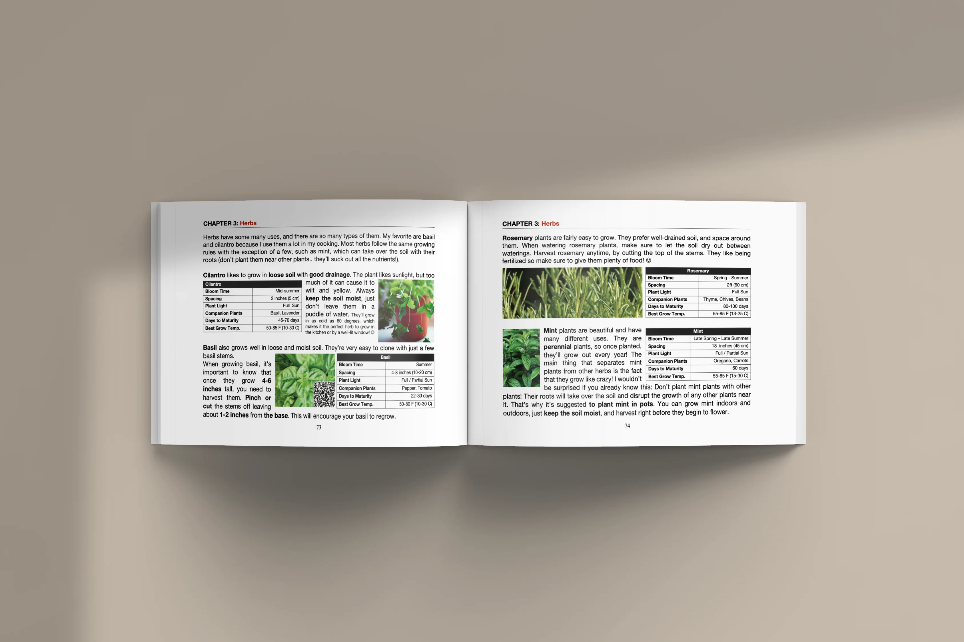 “Don’t Throw it Out 2!” Official Book | All NEW Plant & Garden Hacks/Tips/Tricks - Image 4