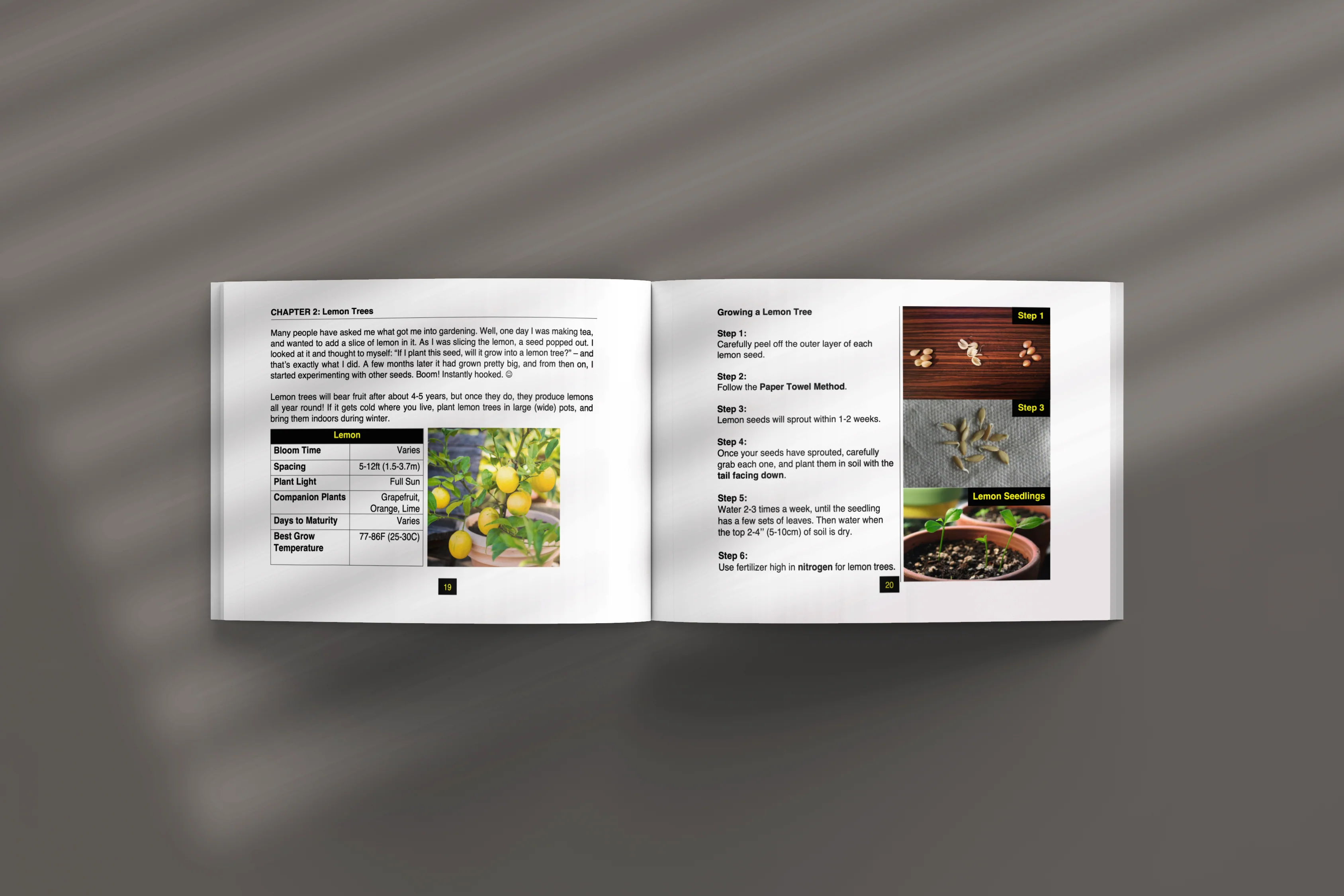 Official “Don’t Throw it Out” Book | Plant Hacks/Tips/Tricks - Image 5